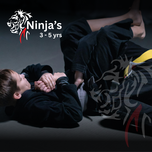 2 Week Trial for Ninja's (3-5yrs)